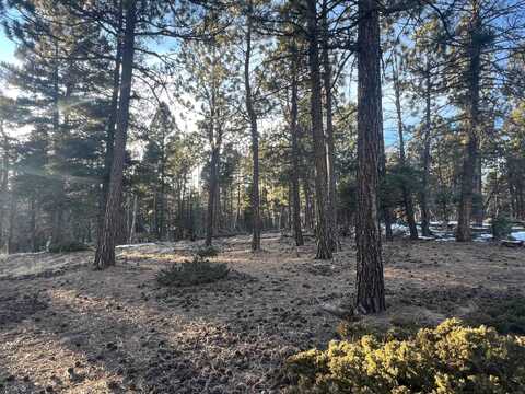 Lot 352 Vail Loop, Angel Fire, NM 87710