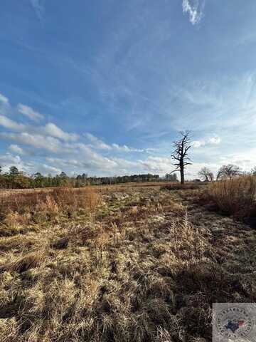 TBD 20.33 acres CR 1460, Linden, TX 75563