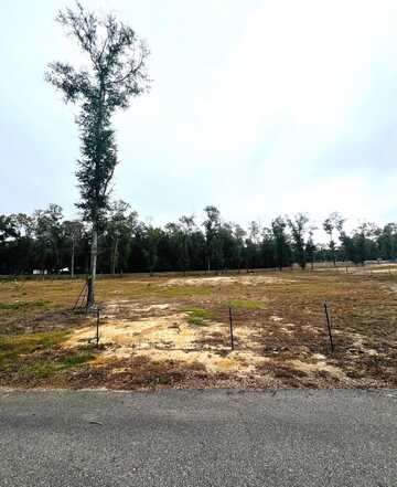 New Market Road, Hosford, FL 32334