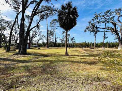 1991 Cairo Parker Road, Perry, FL 32347