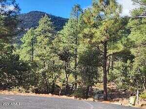 N Sundown Lane Lane 104, Pine, AZ 85544