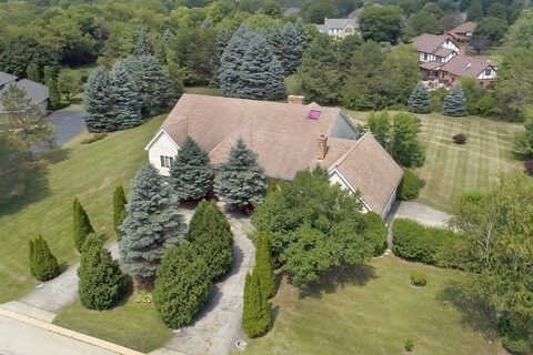 Conesus, HAWTHORN WOODS, IL 60047