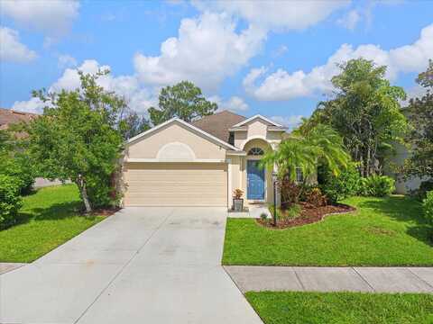 Gnatcatcher, LAKEWOOD RANCH, FL 34202