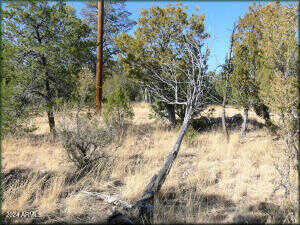 Bear Heights Road 5, Heber, AZ 85928