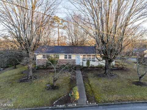 223 Alderman Drive, Greeneville, TN 37745