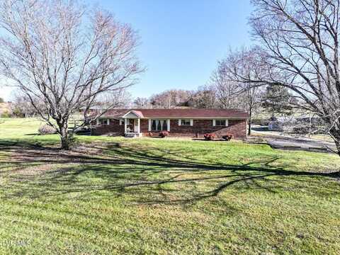 67 Rainbrook Lane, Limestone, TN 37681