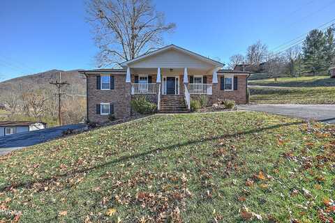 446 Harry Fry Drive, Gate City, VA 24251