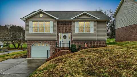 1000 Carrington Court, Kingsport, TN 37660