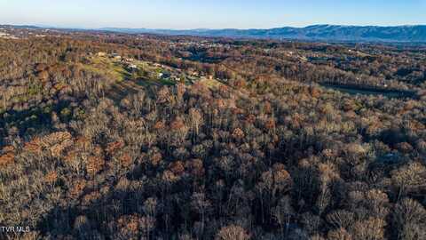 293 West Panoramic View Drive, Greeneville, TN 37743