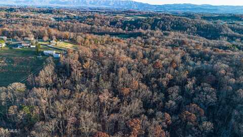 307 West Panoramic View Drive, Greeneville, TN 37743