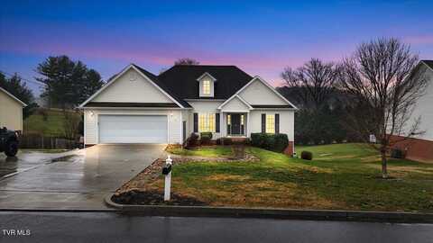 323 Walkers Bend Road, Gray, TN 37615