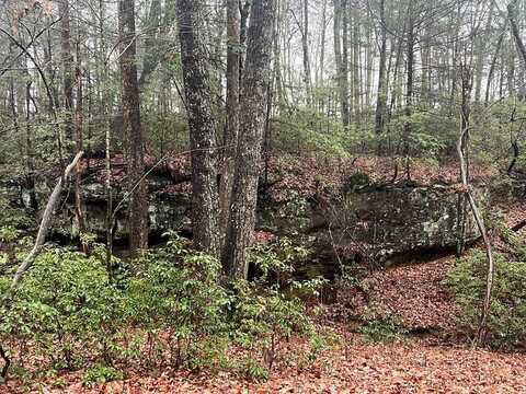 Lot 23 Overlook Pl, MONTEREY, TN 38574