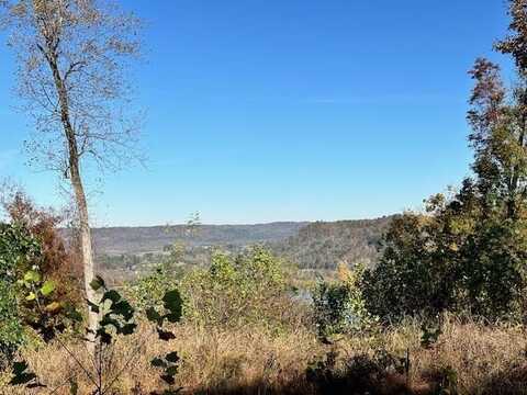 Shelley Rd, GAINESBORO, TN 38562