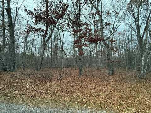 421 Blackfoot Dr, CROSSVILLE, TN 38572