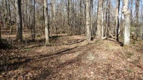 159.23ac Old Stephens Rd, Jamestown, TN 38556