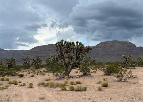 Unk Green Tree Road, Meadview, AZ 86444