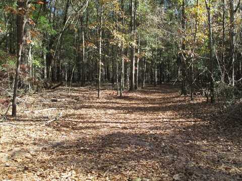 TBD Hillside Drive, Americus, GA 31709