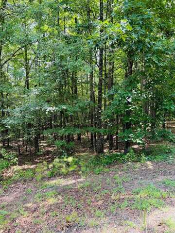 undefined, Heber Springs, AR 72543