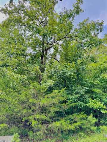 undefined, Heber Springs, AR 72543