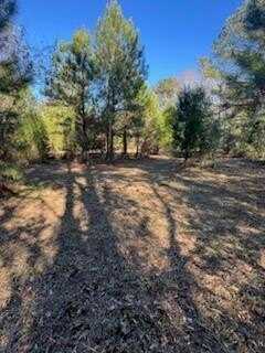 Lot 276 Northgate Road, Georgetown, GA 39854