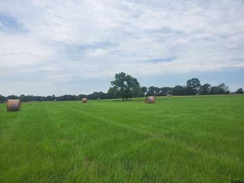 TBD CR 4221, Frankston, TX 75763