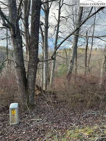 Lot #16 Marios Road, Piney Creek, NC 28663