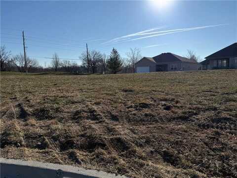 2215 Crestview Place, Raymore, MO 64083