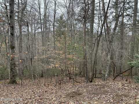 173 Pineridge Loop, Fairfield Glade, TN 38558