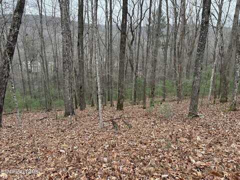 179 Pineridge Loop, Fairfield Glade, TN 38558