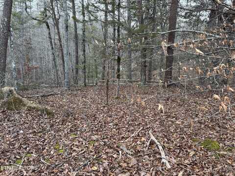 0 Mulberry Way, Sevierville, TN 37876