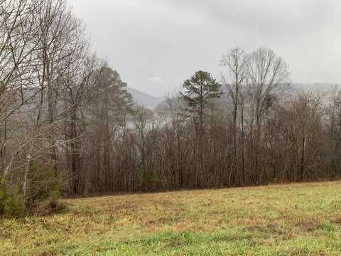 Lot 321 Sapphire Court, New Tazewell, TN 37825