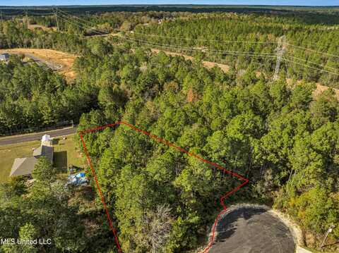 Lot # 199 Schrader Court, Saucier, MS 39574