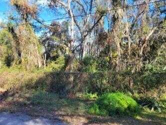 10934 LEON STREET, NEW PORT RICHEY, FL 34654