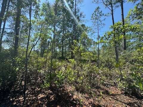 NINEMILE POINT ROAD, PIERSON, FL 32180