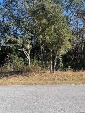 SE 94TH AVE, BELLEVIEW, FL 34420