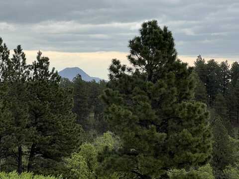 Lot 20 Summit Pass, Whitewood, SD 57793
