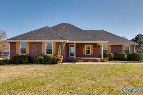 117 Spring Tanner Road, Hazel Green, AL 35750