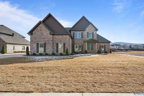 216 Oakland View Drive, Brownsboro, AL 35741