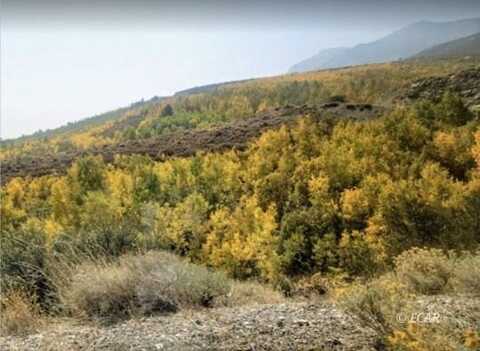 TBD Ryndon Parcel, Elko, NV 89801