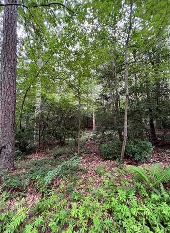 1.048 AC Lonesome Pines Trail, Lancaster, VA 22507