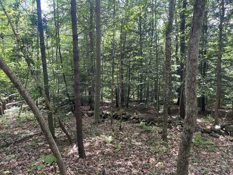 60 Pound Road, Sanbornton, NH 03269