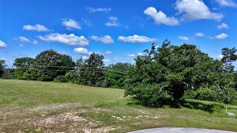 Lot 262 High Point Court, Athens, TX 75752