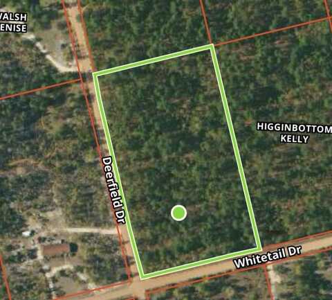 Tbd Deerfield Drive, Williston, SC 29853