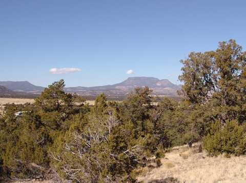 Lots 92 &196 Ranch Road, Datil, NM 87821