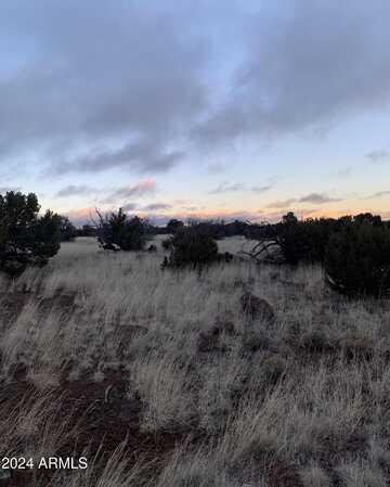 No Address Lot 1916 Mills Lane Road, Concho, AZ 85924