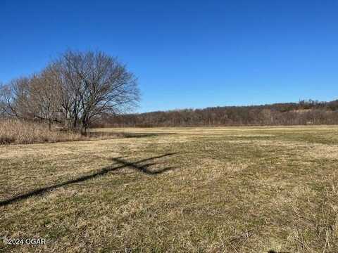 Tbd Business 60, Neosho, MO 64850