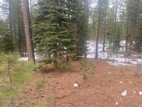 877 Miner's Passage, Clio, CA 96106