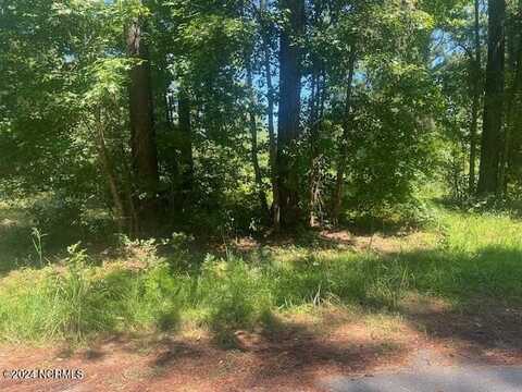 0 Pine Lane, Whiteville, NC 28472