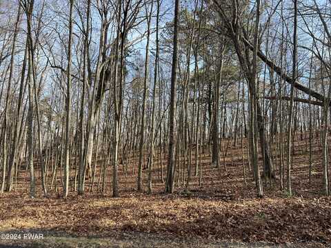 180-181 Pheasant Run, Bushkill, PA 18324