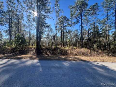 undefined, Dunnellon, FL 34431